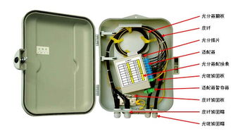 36芯光纤配线箱 现代通讯网络的精密枢纽